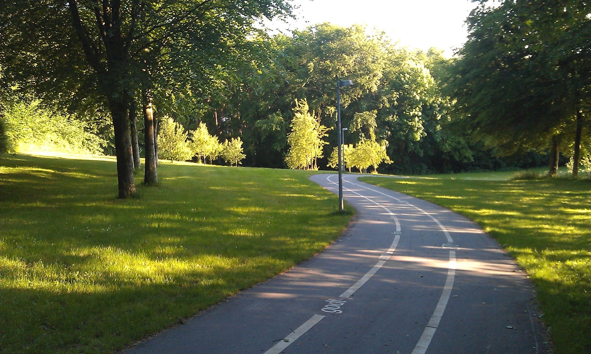 Asfaltsti gennem park med græs og store træer