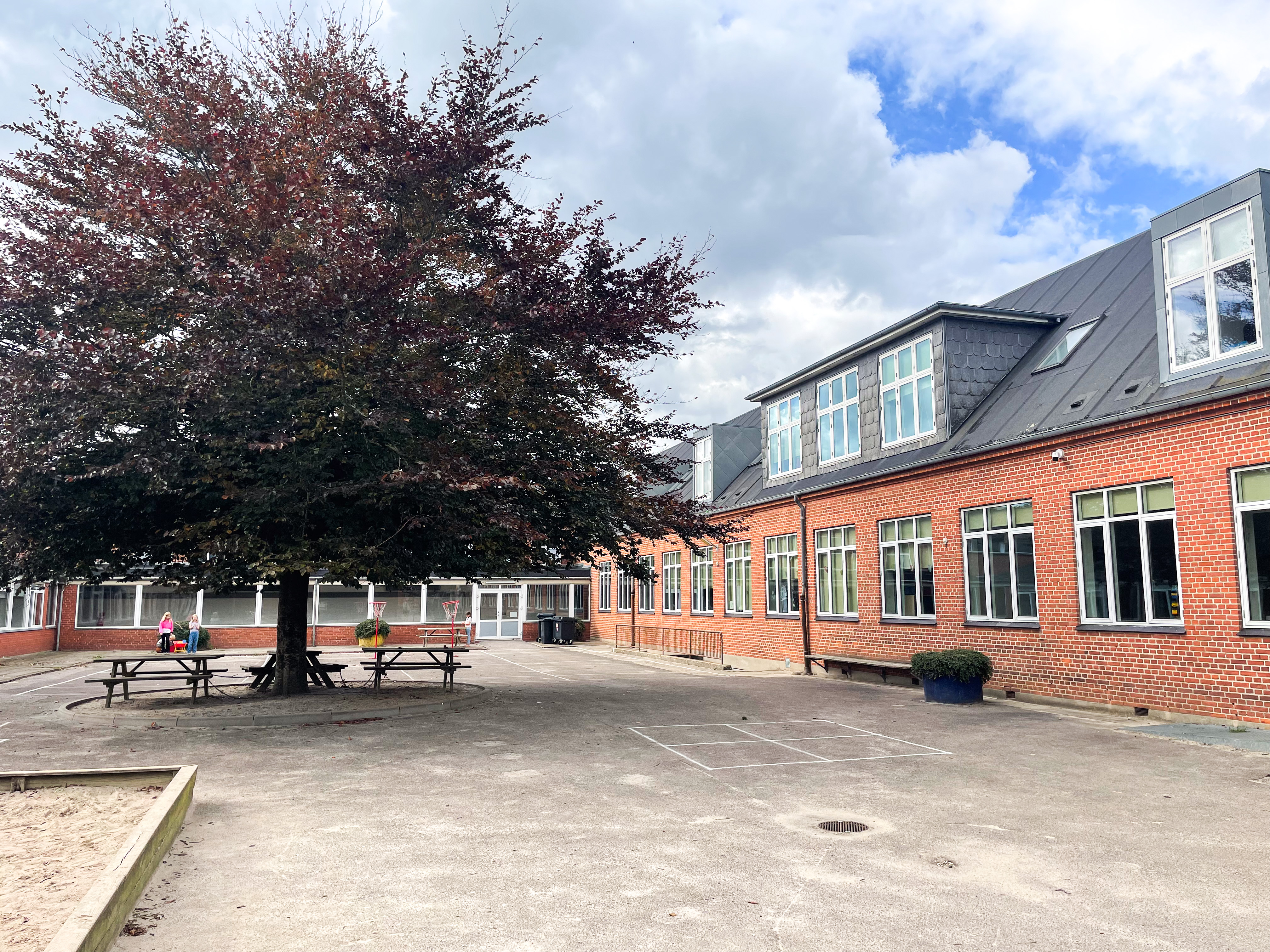 Skolegård med asfalt, sandkasse og stort træ