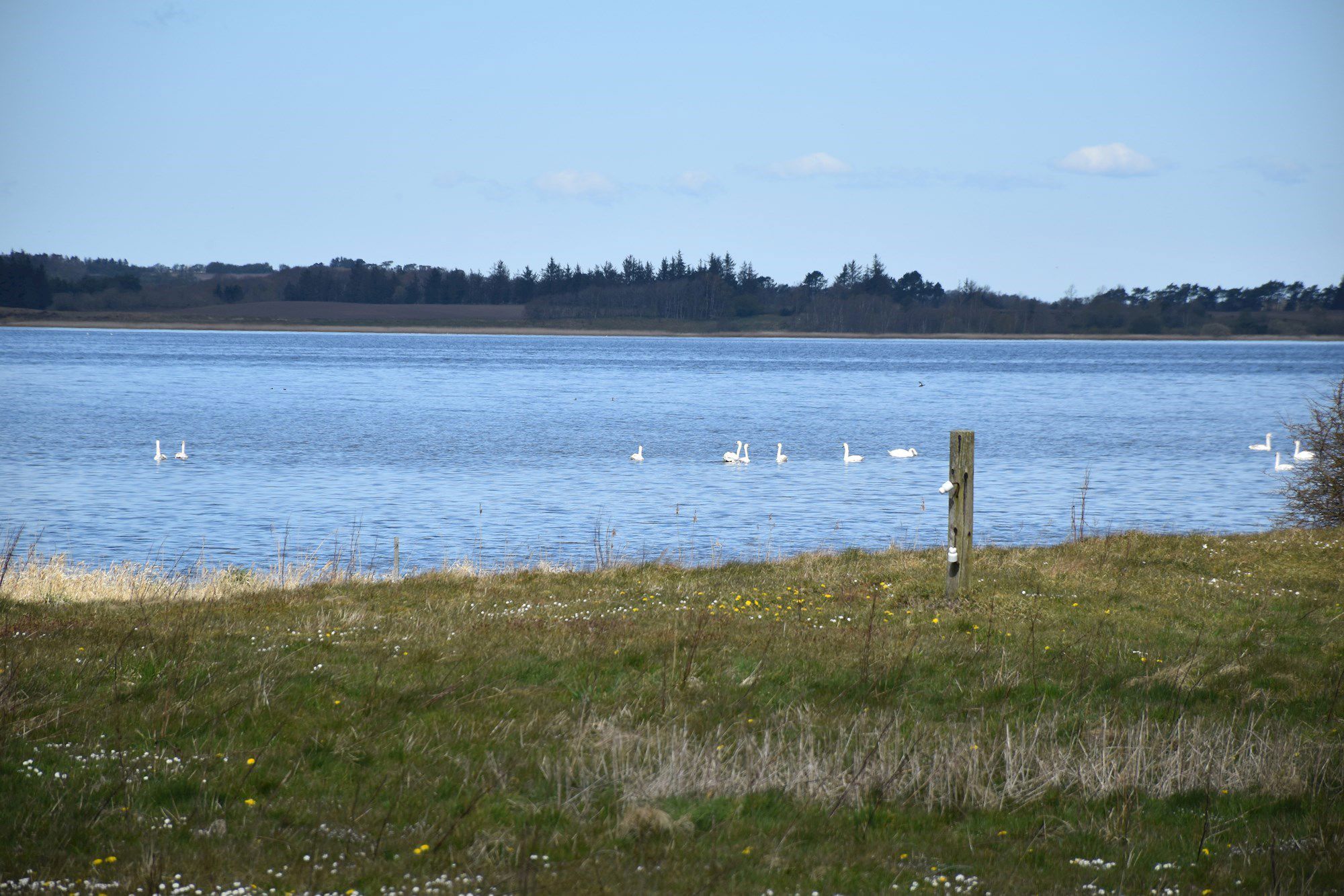 Udsigten til fjorden ved Lynderup